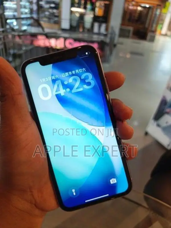 Apple iPhone 11 (Used)