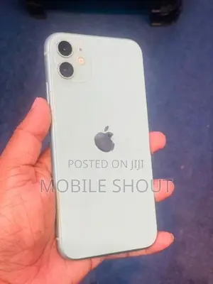 Apple iPhone 11 64GB (Used)