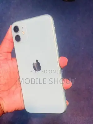 Apple iPhone 11 64GB (Used)