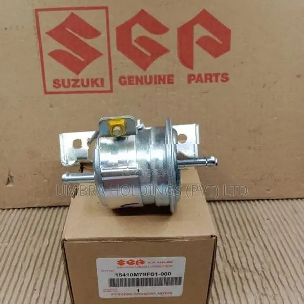 Alto 800/Alto LXI Fuel Filter
