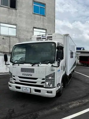 Isuzu Elf Freezer Truck 2017