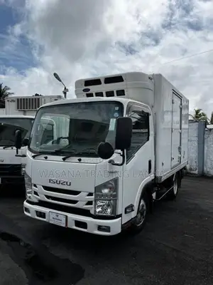 Isuzu Elf Freezer 2017