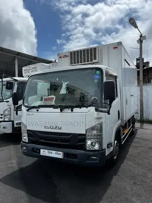 Isuzu Elf Freezer 2017