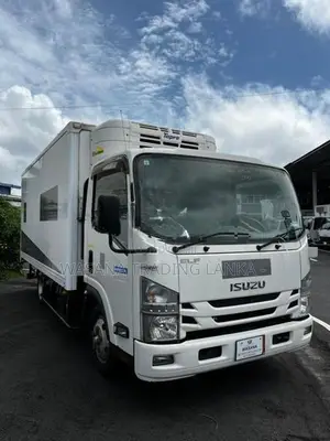 Isuzu Elf Freezer Truck 2017