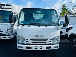 Isuzu Elf Dump Truck 2016