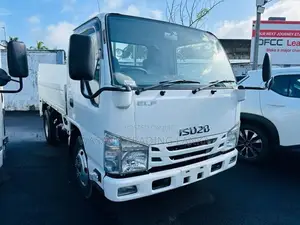 Isuzu Elf Dump Truck 2016