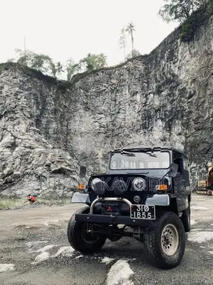 Mitsubishi 4DR 1978