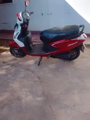 Hero Pleasure 2014