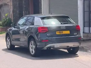 Audi Q2 Anniversary 2018