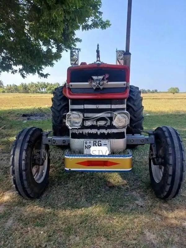Massey Ferguson 135 2021