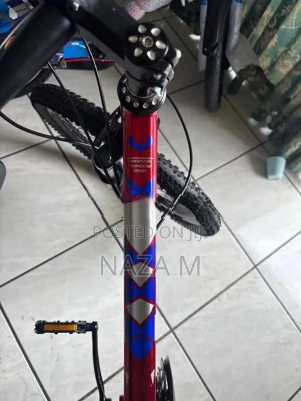 Mountain Bike Brand New