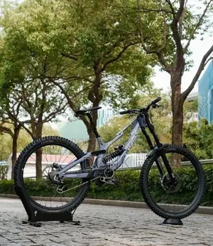 specialized sworks demo 11