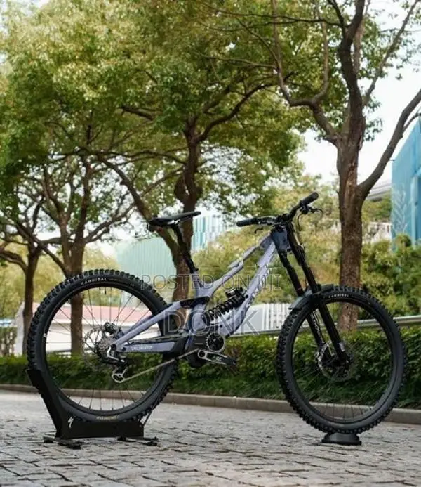 specialized sworks demo 11