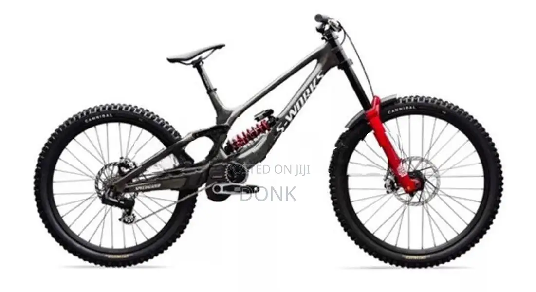 specialized sworks demo 11