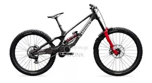 specialized sworks demo 11