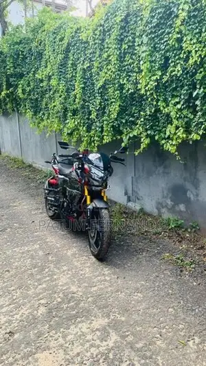 Bajaj Pulsar NS200 Bs 7 2025