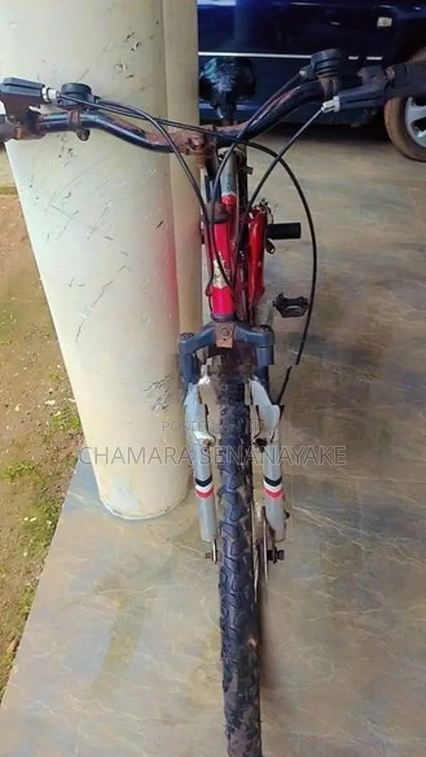 Bicycle