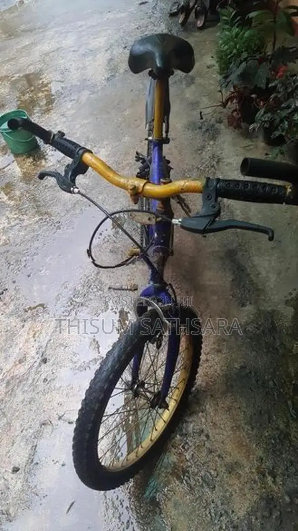 bicycle