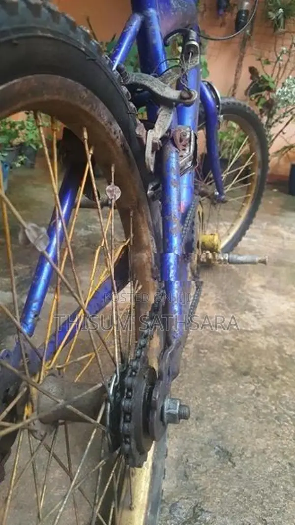 bicycle