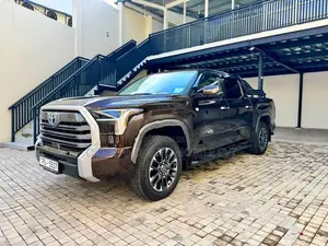 Toyota TUNDRA i-FORCE MAX 2024