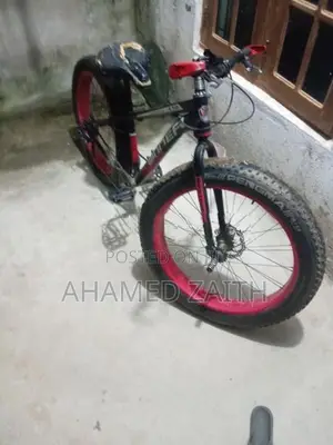 Fat Tire Bicycle