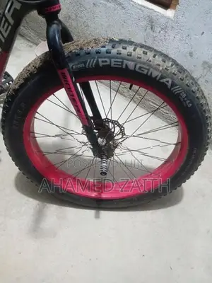 Fat Tire Bicycle
