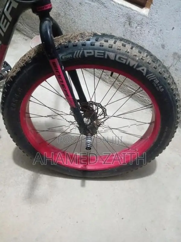 Fat Tire Bicycle