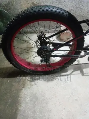 Fat Tire Bicycle