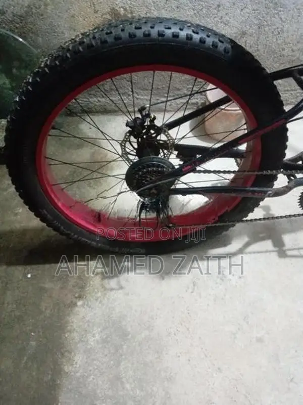 Fat Tire Bicycle