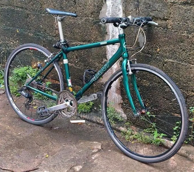 Giant Cycle
