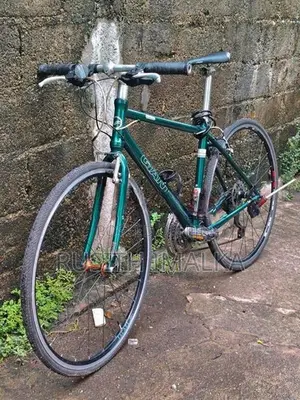 Giant Cycle