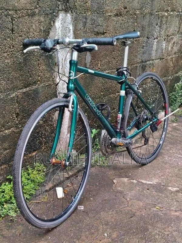 Giant Cycle
