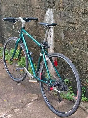 Giant Cycle
