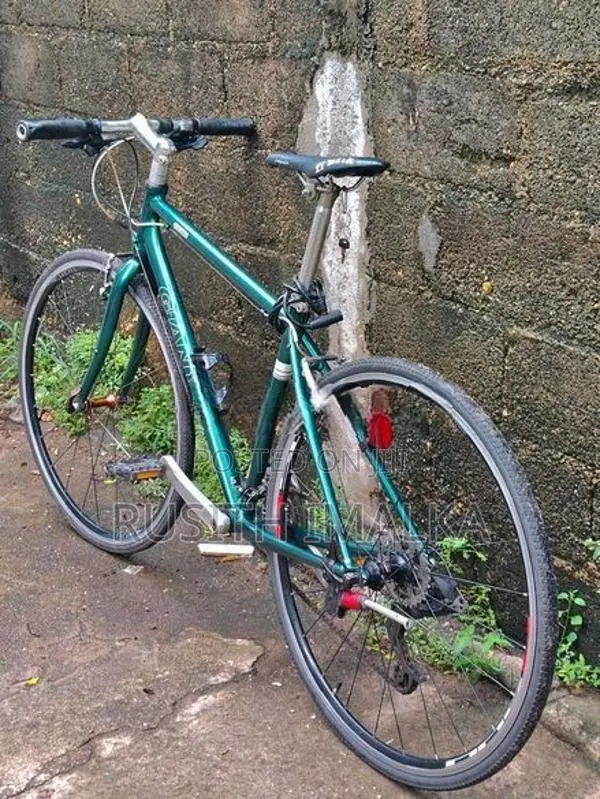 Giant Cycle