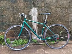 Giant Cycle