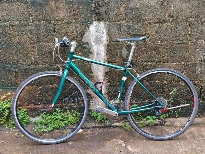 Giant Cycle