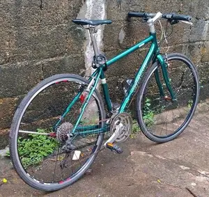 Giant Cycle