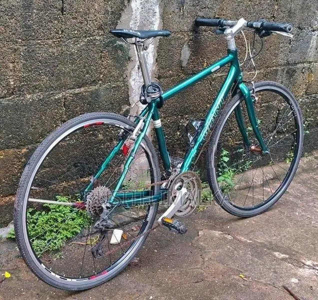 Giant Cycle