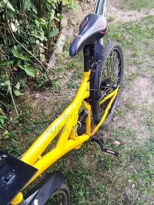 Lumala Bicycle