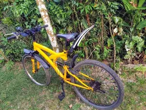 Lumala Bicycle
