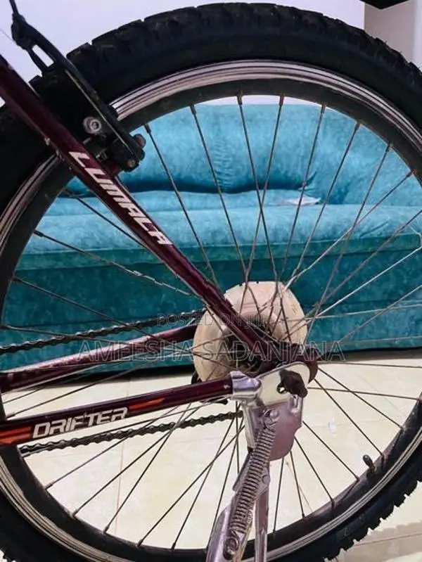 Lumala Dirfter Cycle