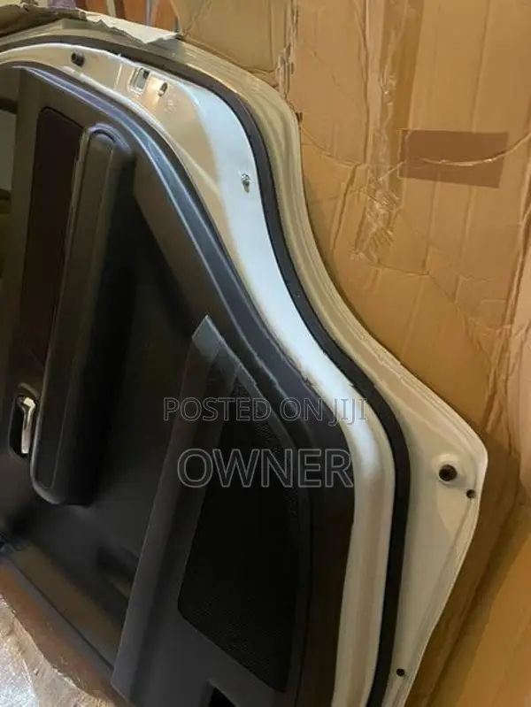 Right Side Rear Door