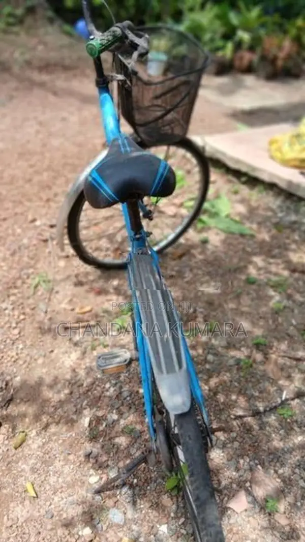 Ladies Bicycle