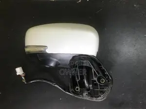 2017 Side Mirror with Camera