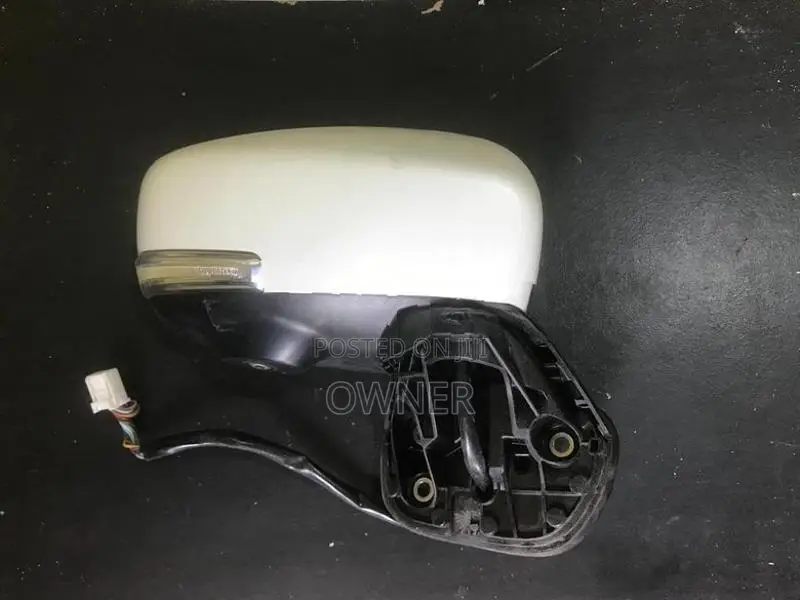 2017 Side Mirror with Camera