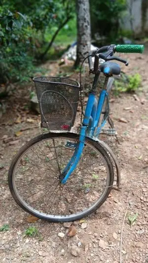 Ladies Bicycle