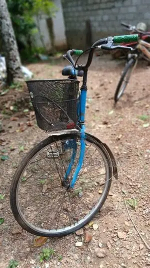 Ladies Bicycle