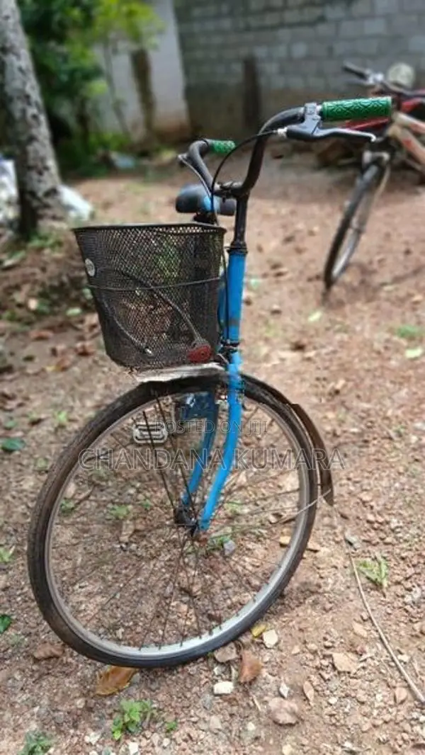 Ladies Bicycle