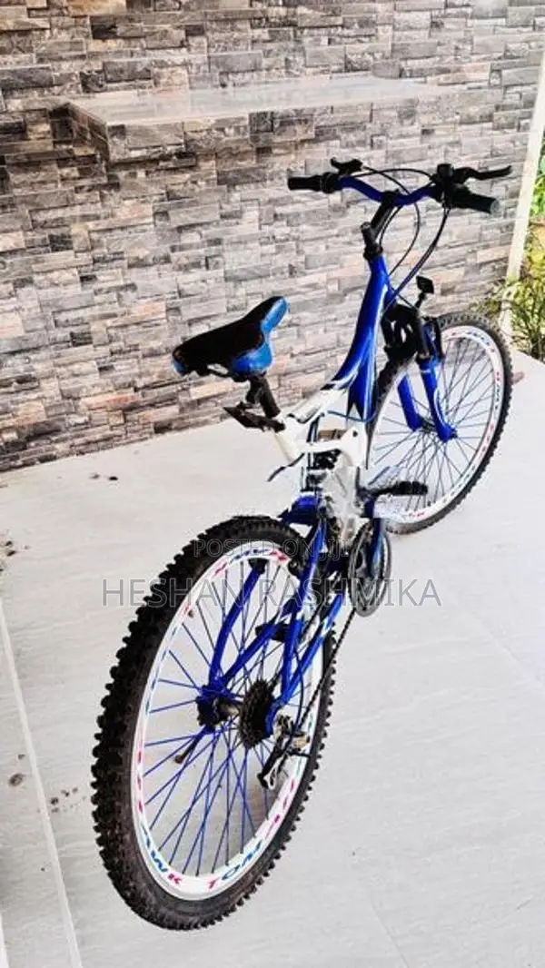 Tomahawk Bicycle