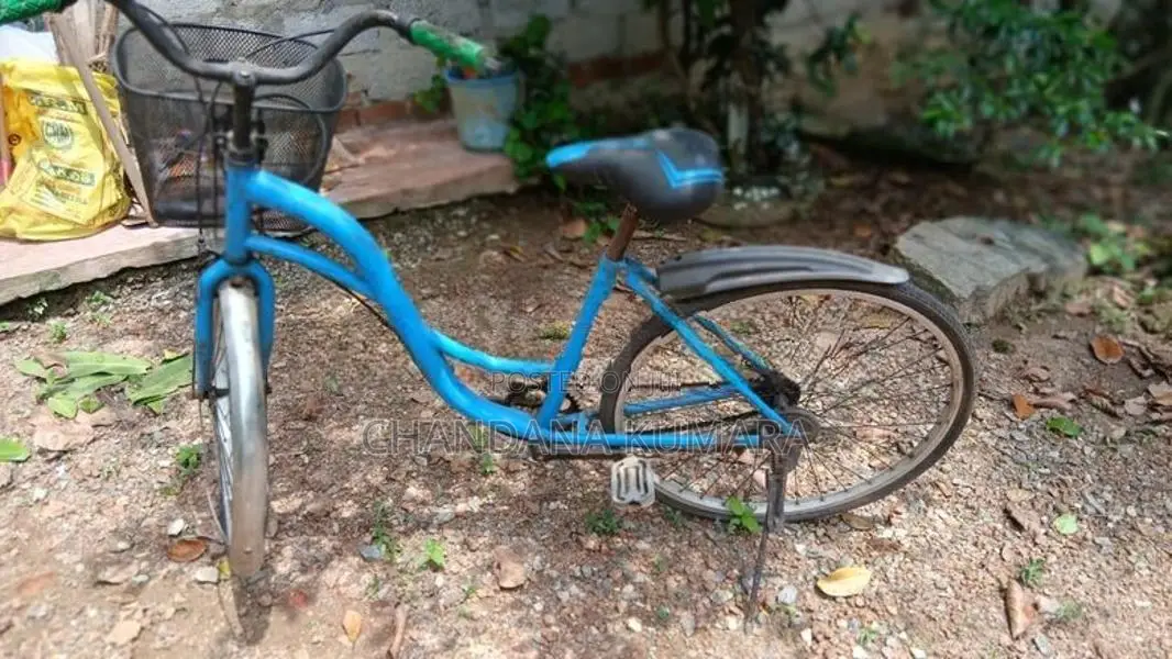 Ladies Bicycle
